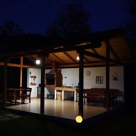 Guest House Carpathia Vişeu de Sus Εξωτερικό φωτογραφία