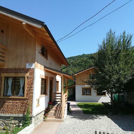 Guest House Carpathia Vişeu de Sus Εξωτερικό φωτογραφία
