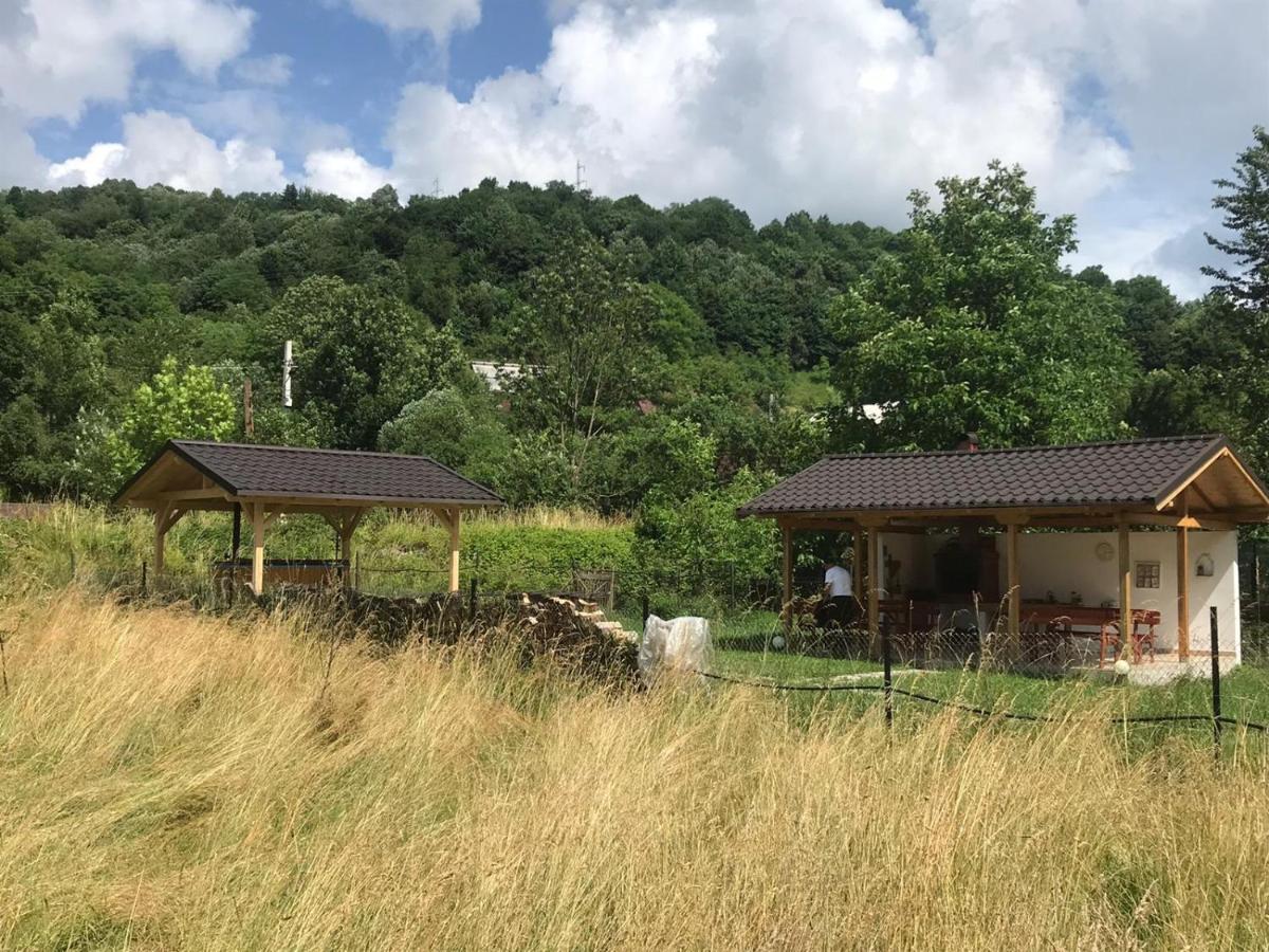 Guest House Carpathia Vişeu de Sus Εξωτερικό φωτογραφία