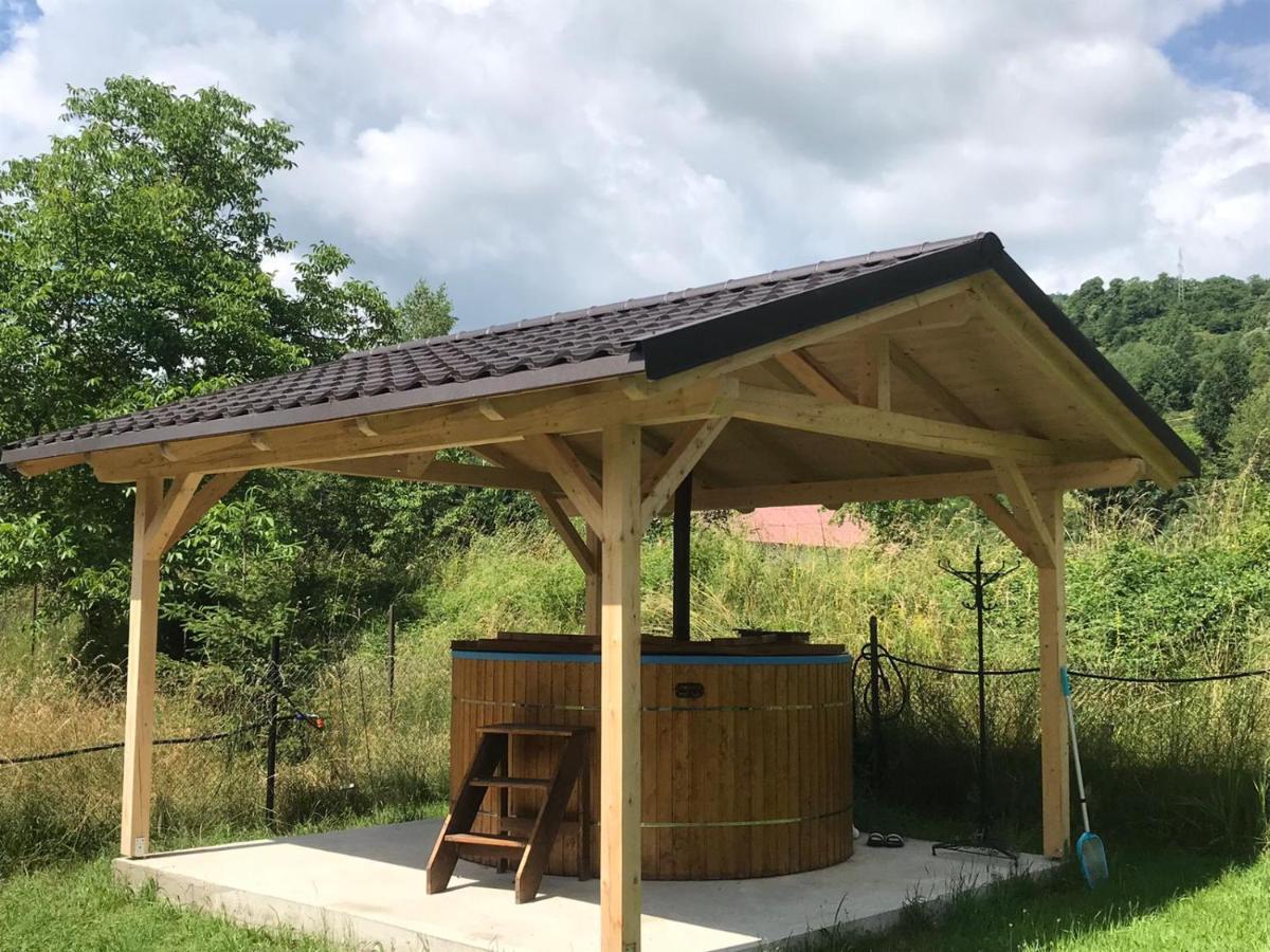 Guest House Carpathia Vişeu de Sus Εξωτερικό φωτογραφία