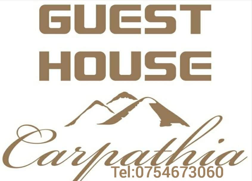 Guest House Carpathia Vişeu de Sus Εξωτερικό φωτογραφία