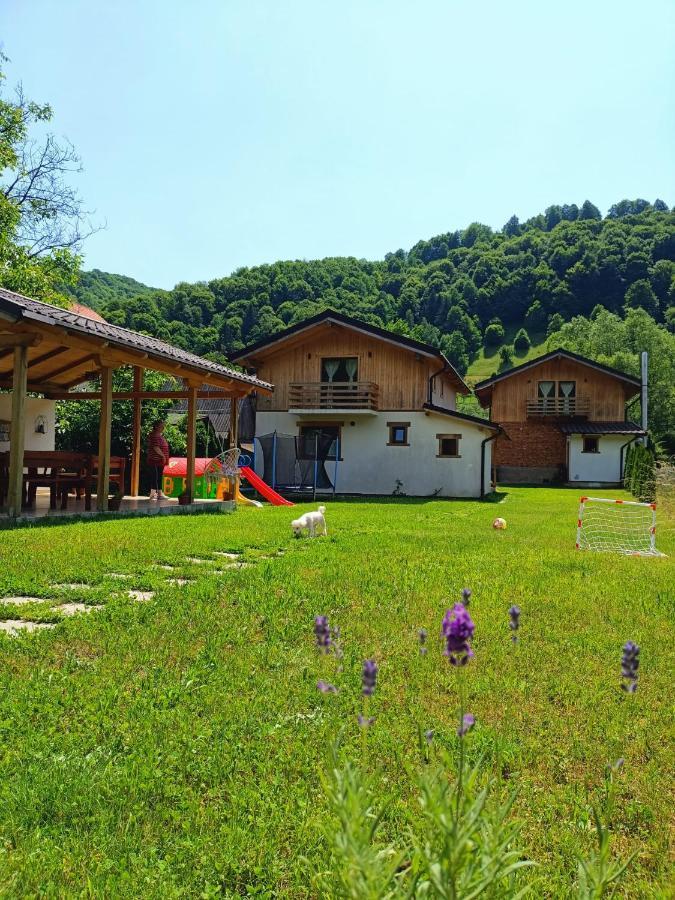 Guest House Carpathia Vişeu de Sus Εξωτερικό φωτογραφία