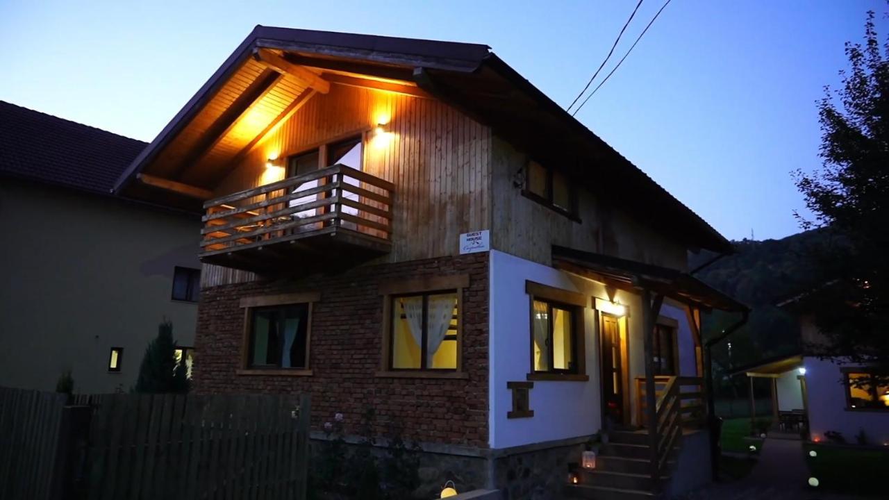 Guest House Carpathia Vişeu de Sus Εξωτερικό φωτογραφία