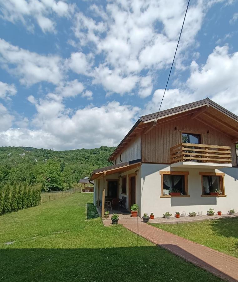Guest House Carpathia Vişeu de Sus Εξωτερικό φωτογραφία