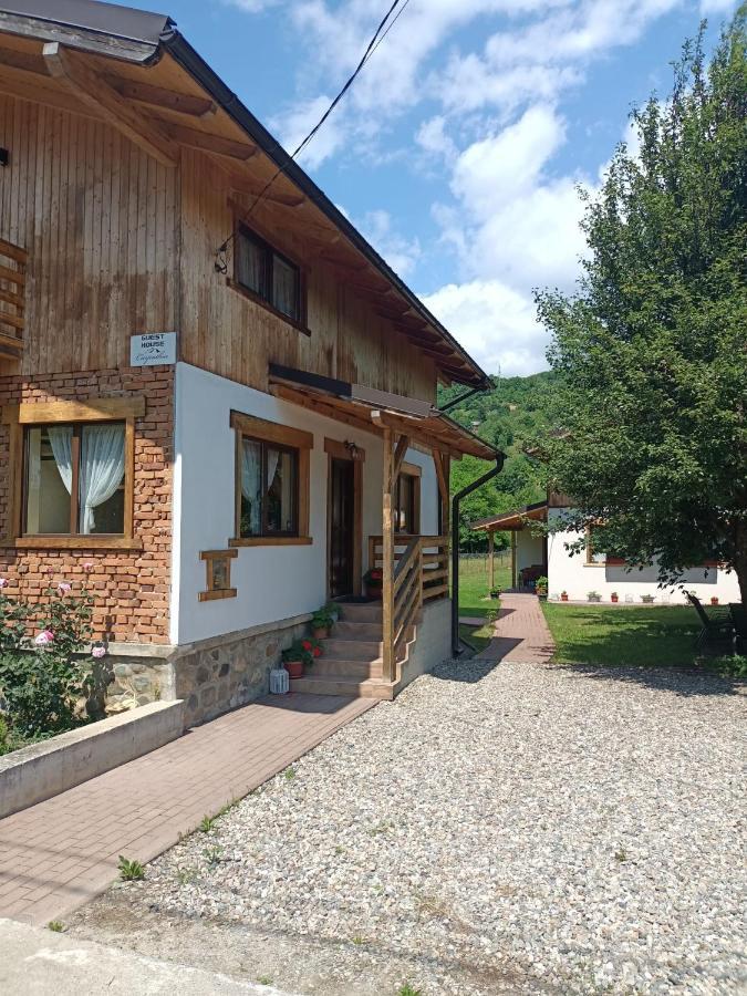 Guest House Carpathia Vişeu de Sus Εξωτερικό φωτογραφία