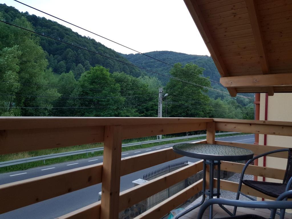 Guest House Carpathia Vişeu de Sus Εξωτερικό φωτογραφία