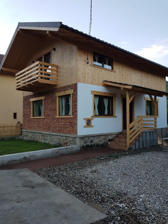 Guest House Carpathia Vişeu de Sus Εξωτερικό φωτογραφία