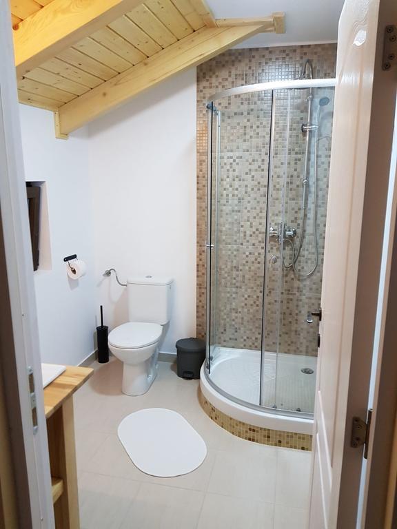 Guest House Carpathia Vişeu de Sus Εξωτερικό φωτογραφία