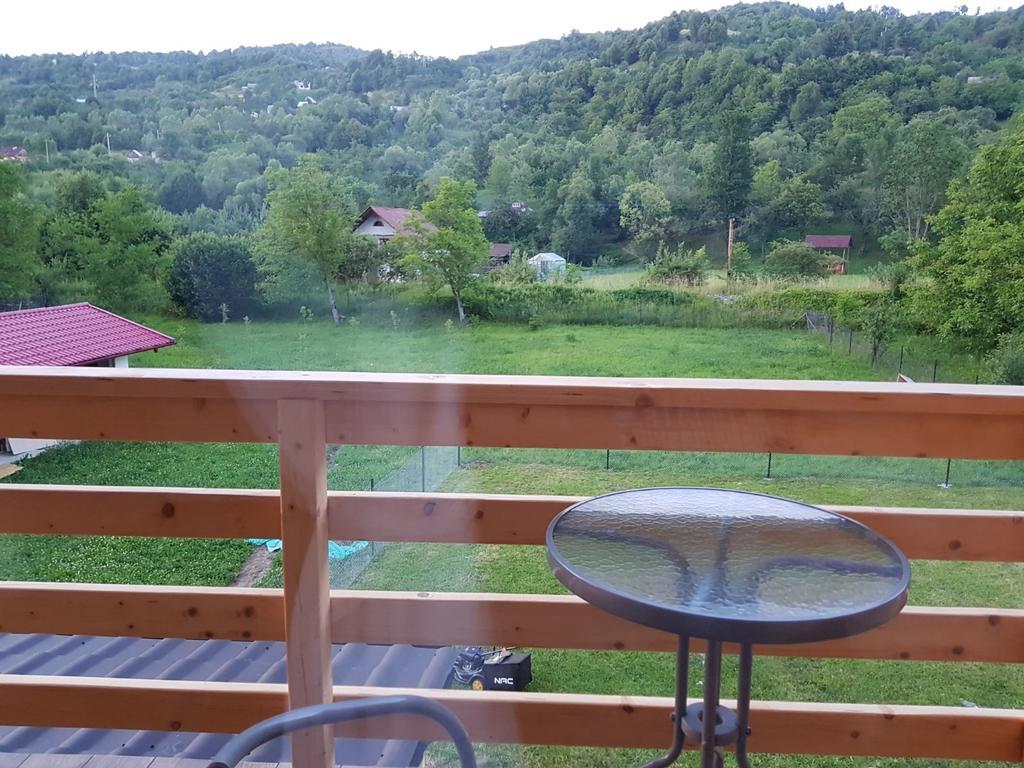 Guest House Carpathia Vişeu de Sus Εξωτερικό φωτογραφία