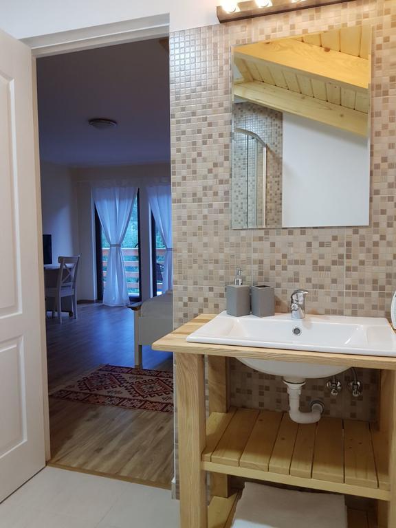 Guest House Carpathia Vişeu de Sus Εξωτερικό φωτογραφία
