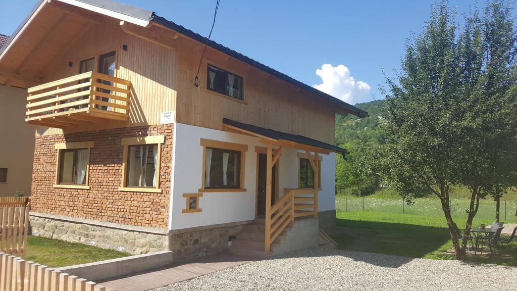 Guest House Carpathia Vişeu de Sus Εξωτερικό φωτογραφία