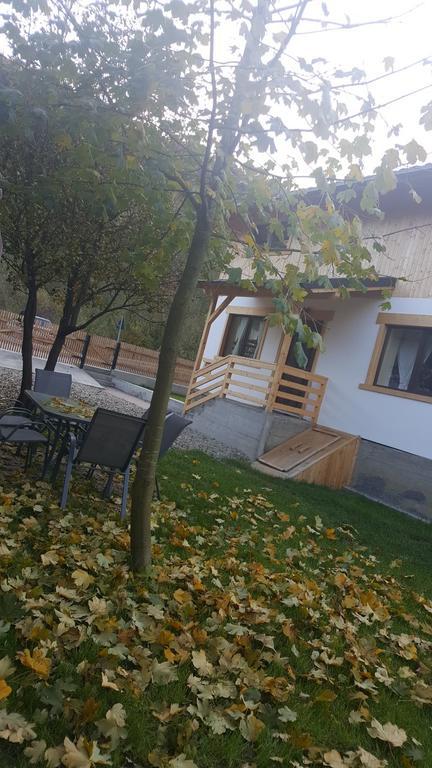 Guest House Carpathia Vişeu de Sus Εξωτερικό φωτογραφία