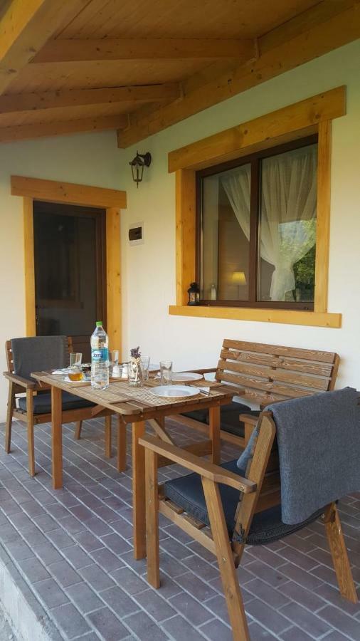 Guest House Carpathia Vişeu de Sus Εξωτερικό φωτογραφία