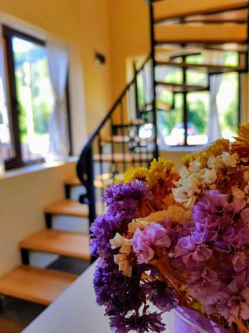 Guest House Carpathia Vişeu de Sus Εξωτερικό φωτογραφία